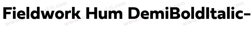Fieldwork Hum DemiBoldItalic字体转换